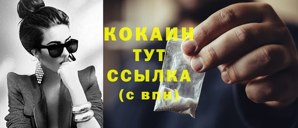 прущие грибы Горнозаводск