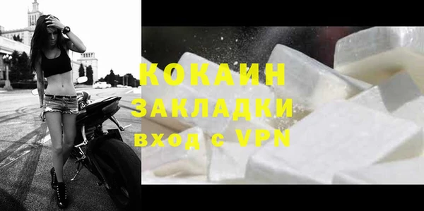 прущие грибы Горнозаводск