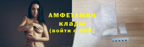 прущие грибы Горнозаводск