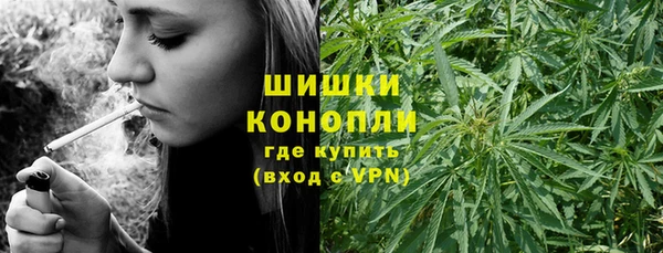 прущие грибы Горнозаводск