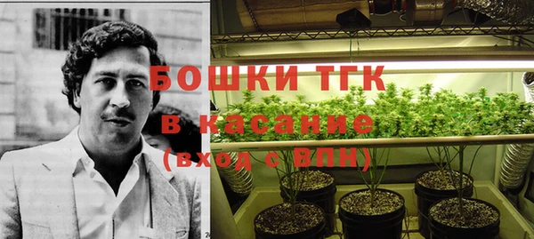 сатива Горно-Алтайск