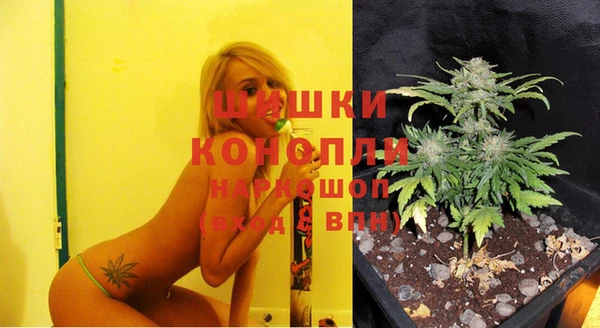 сатива Горно-Алтайск
