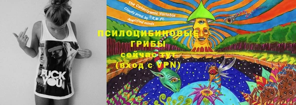 мяу мяу кристалл Горняк