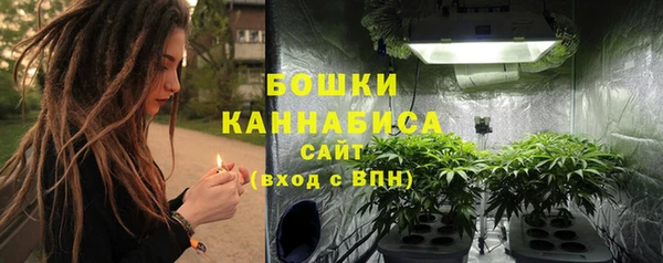 сатива Горно-Алтайск