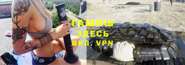 прущие грибы Горнозаводск